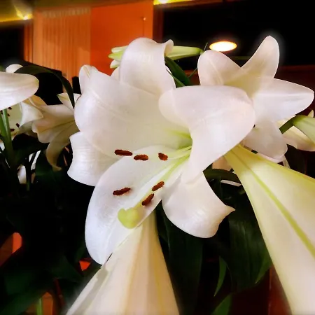 & Restaurant Zu Den Linden